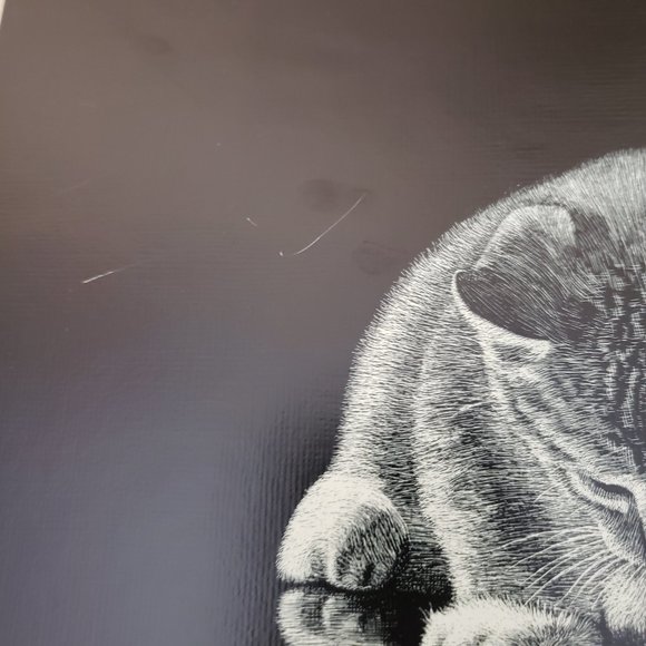 Vintage 70s Droguett Kitten Reflection Print Art Cute - Picture 6 of 12